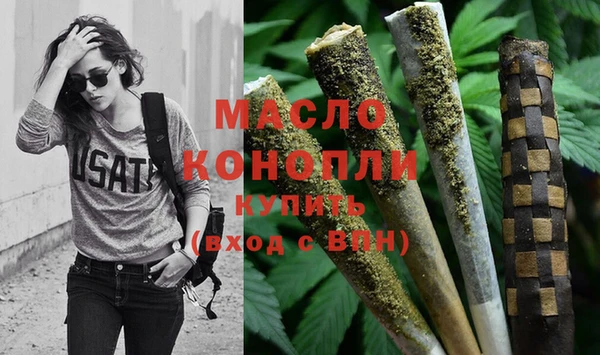 дживик Бородино
