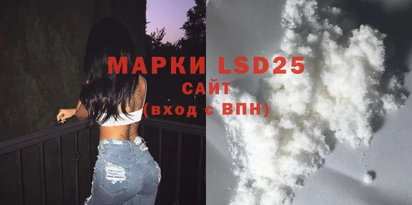 дживик Бородино
