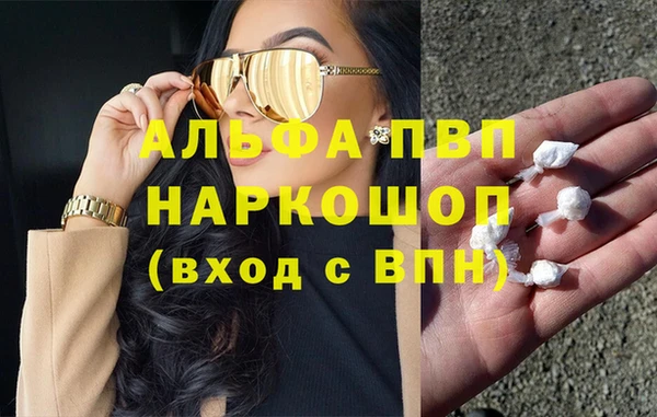 сатива Бронницы