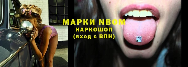 сатива Бронницы