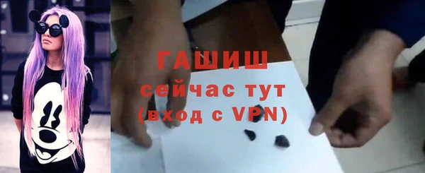 дживик Бородино