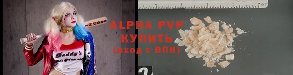 дживик Бородино