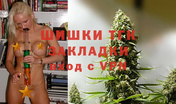 дживик Бородино