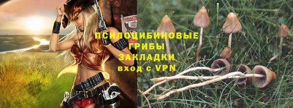 дживик Бородино