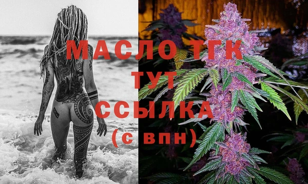 молекула духа Верхний Тагил