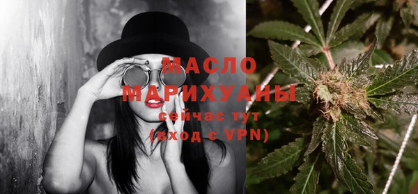 дживик Бородино