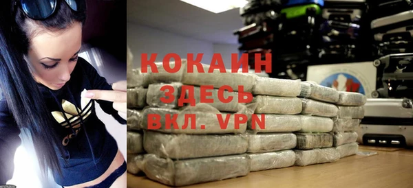 дживик Бородино