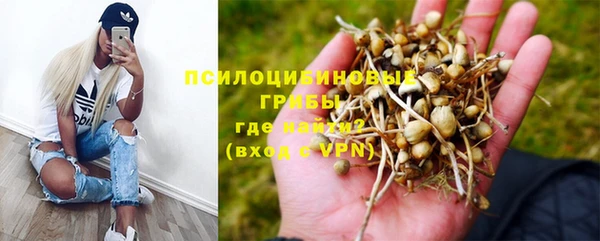 молекула духа Верхний Тагил