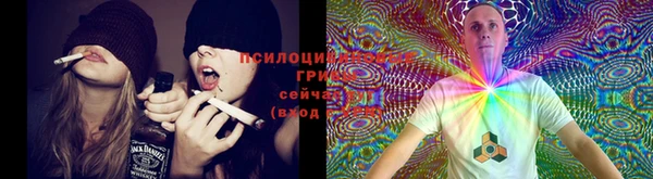 молекула духа Верхний Тагил